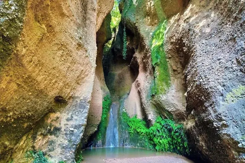 Habitacion Y Bano Privado, Tranquilidad Y Naturaleza. Barselona Pansiyon