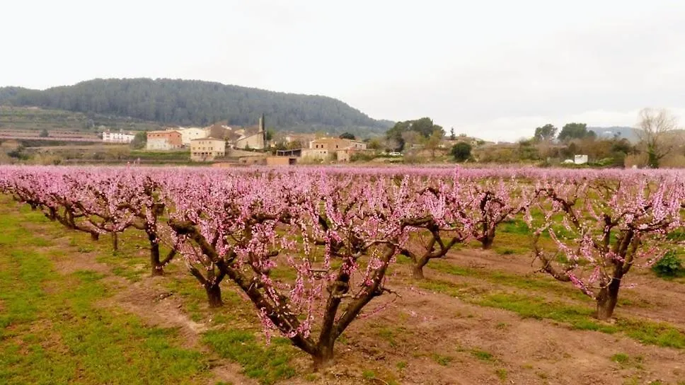 Habitacion Y Bano Privado, Tranquilidad Y Naturaleza. برشلونة منزل للإقامة