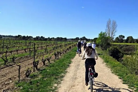 Habitacion Y Bano Privado, Tranquilidad Y Naturaleza. برشلونة منزل للإقامة