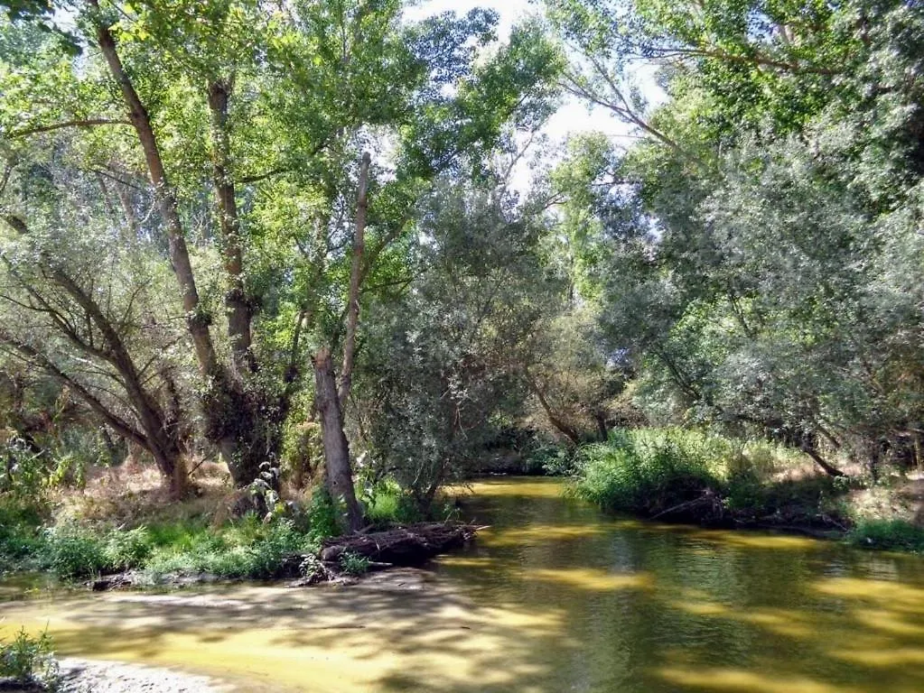 Habitacion Y Bano Privado, Tranquilidad Y Naturaleza. برشلونة إسبانيا